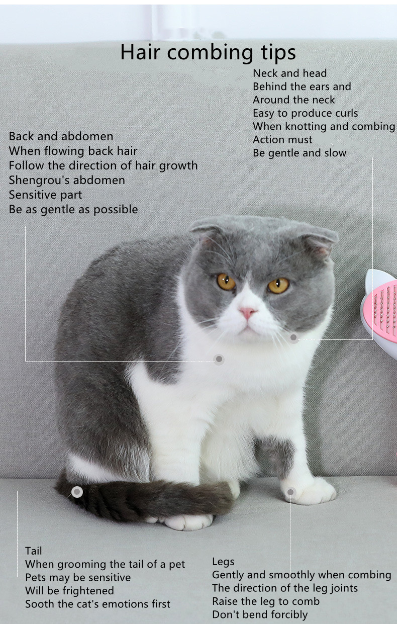 Pet Cat Long-Haired Short-Haired Dog Comb - Image 3